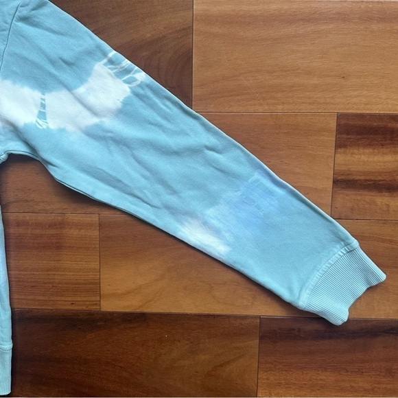 Hollister Stripe Hoodie - Picture 7 of 9